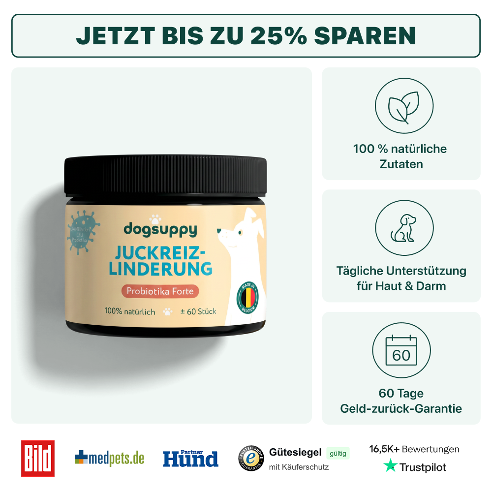 Juckreiz-Linderung Probiotika Forte 🌿 100% natürlich 🫙 60 Portionen