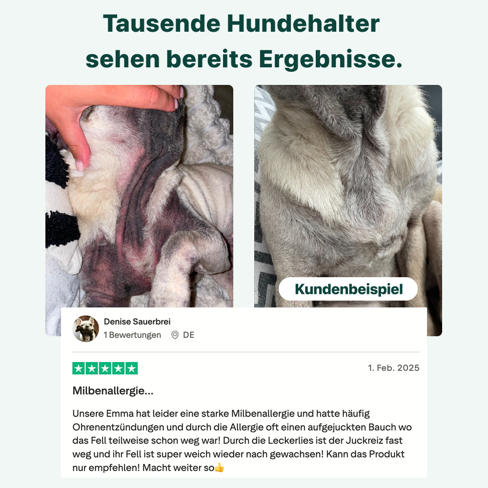 Juckreiz-Linderung Probiotika Forte 🌿 100% natürlich 🫙 60 Portionen
