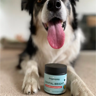 Dental Bright™ 🌿 100% natürlich 🫙 60 Portionen