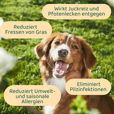 Juckreiz-Linderung Probiotika Forte